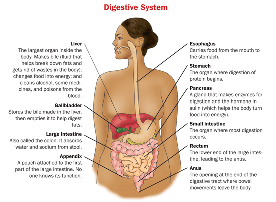 weight-loss-face-lift-cosmetic-surgery-thailand-plastic-surgery-bangkok-phuket-liposuction-breast-augmentation